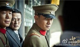 少帅全集在线观看,风云变幻的乱世传奇，在线观看重温历史风云